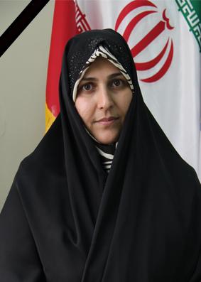 golami1.jpg